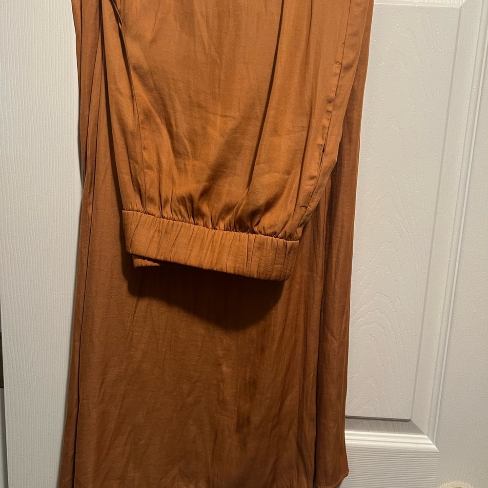 Ann Taylor Terracotta pants